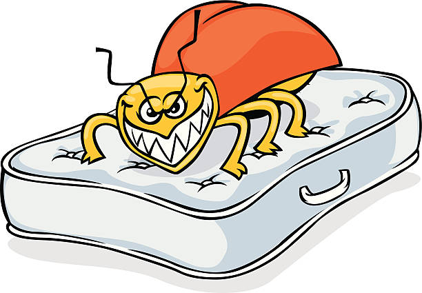 cartoon+illustration+of+a+bed+bug+on+a+mattress